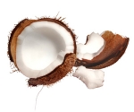 Les fruits : La noix de Coco